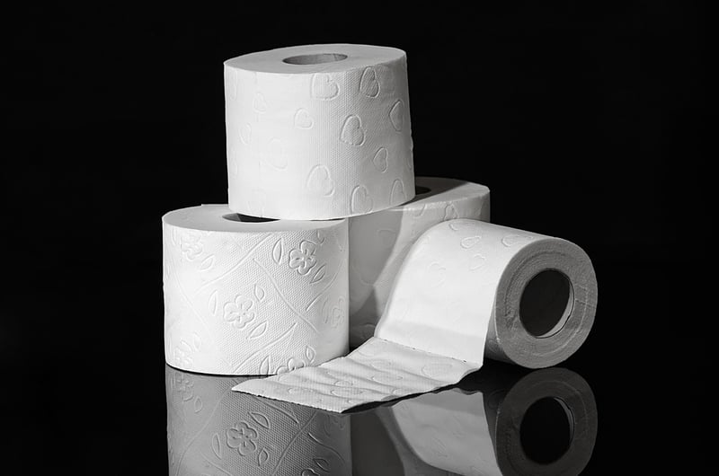 Paper Roll Projects